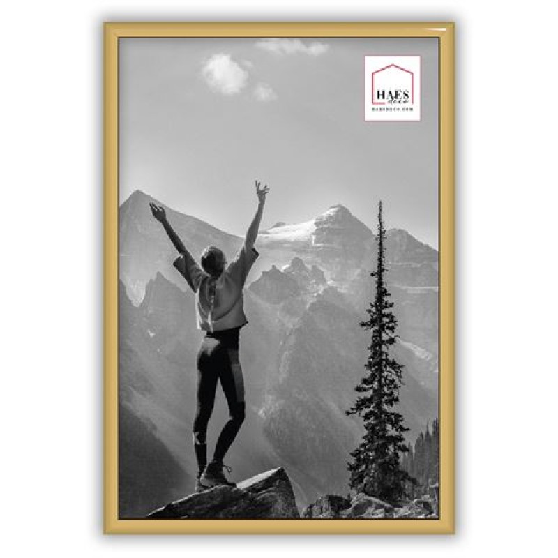 Haes Deco Kunststof Fotolijst EF4G Easy Frame Goud 20x30 cm