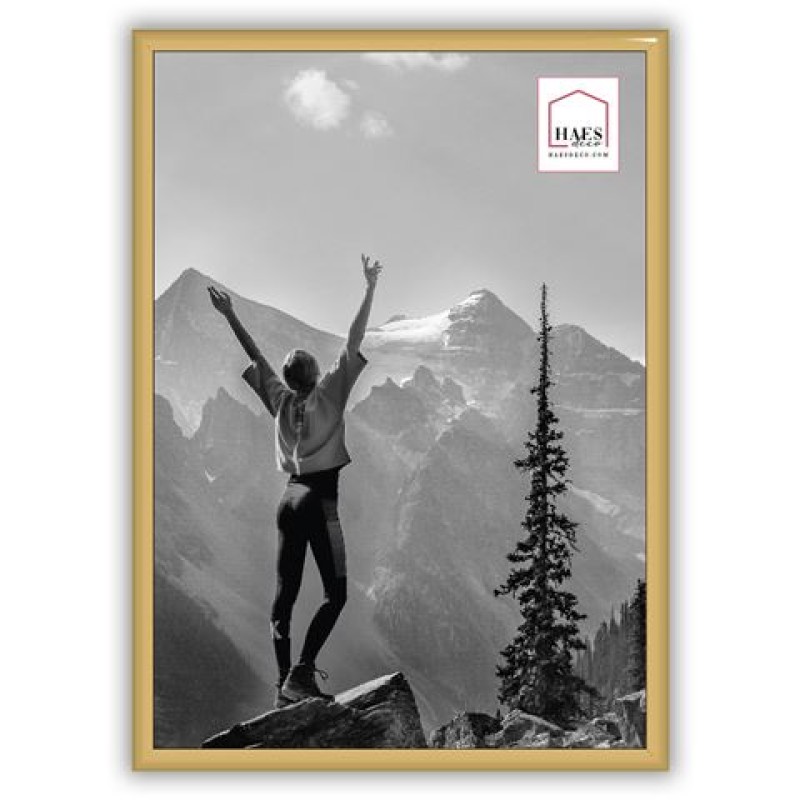 Haes Deco Kunststof Fotolijst EF11G Easy Frame Goud A4 21x29,7 cm