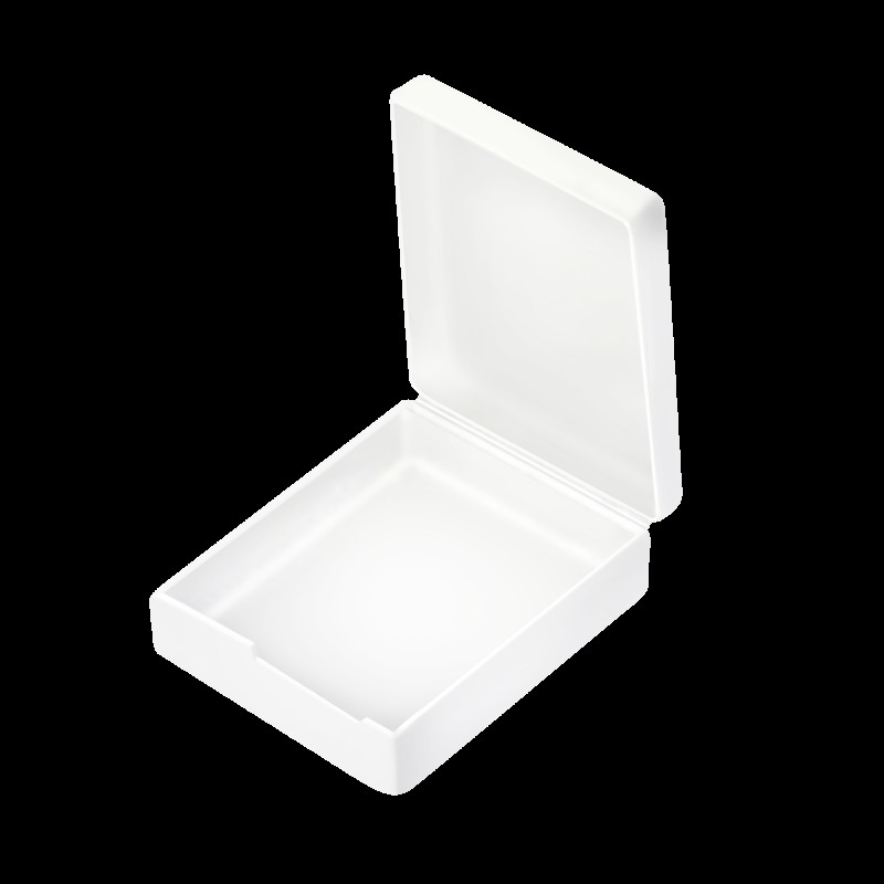 Telesin opbergbox voor GoPro 12/11/10/9 batterij - transparante beschermhoes