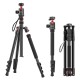 Ulanzi TT31 statief et monopod 2-en-1 avec système CLAW Quick Release - Image 2