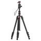 Ulanzi TT31 statief et monopod 2-en-1 avec système CLAW Quick Release - Image 6