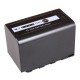 Batterie VW-VBD58 pour caméscope Panasonic