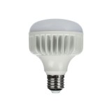 StudioKing LED Daglichtlamp 25W E27 FLED-25 - lumière du jour naturelle 5500K pour photographie et vidéo