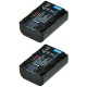 ChiliPower NP-FH50 / NP-FH40 batterie pour Sony - 870mAh - pack de 2 - Image 2
