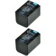 ChiliPower NP-FH70 / NP-FH60 batterie pour Sony - 1800mAh - pack de 2 - Image 2
