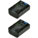 ChiliPower NP-FV50 / NP-FV40 batterie pour Sony - 950mAh - Pack de 2 - Image 2