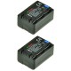 ChiliPower VW-VBT190 batterie pour Panasonic - 2100mAh - Pack de 2 batteries lithium-ion compatibles - Image 2