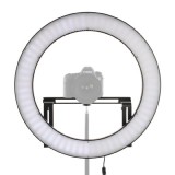 Falcon Eyes DVR-512DVC lampe annulaire LED bi-couleur dimmable sur 230V avec montage flexible