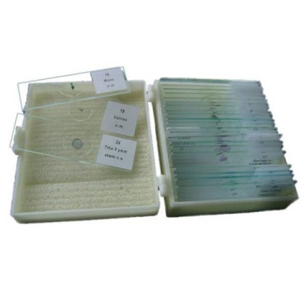 Byomic boîte de rangement pour 25 préparations microscopiques