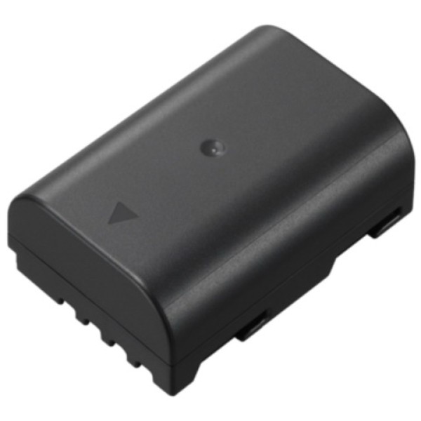 Batterie d'appareil photo compatible avec Panasonic DMW-BLF19 - 2000mAh lithium-ion