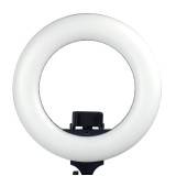 Caruba Round Vlogger 12 inch lampe annulaire LED pour vloggers et photographie de portrait