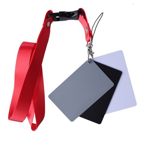 StudioKing carte grise numérique SKGC-31S - Set de 3 cartes en plastique mat gris, noir et blanc grand format pour balance des blancs