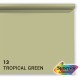 Superior papier de fond 13 Tropical Green 1,35 x 11m - qualité professionnelle pour photographie et présentation - Image 1