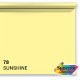 Superior papier de fond 78 Sunshine jaune vif 1,35 x 11m pour photographie professionnelle - Image 1