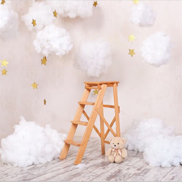 StudioKing toile de fond WSS1 3x2m avec impression en polyester